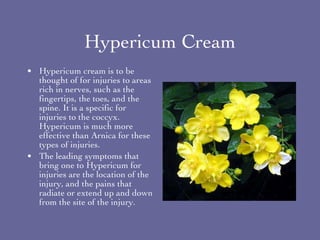 Hypericum Cream ,[object Object],[object Object]