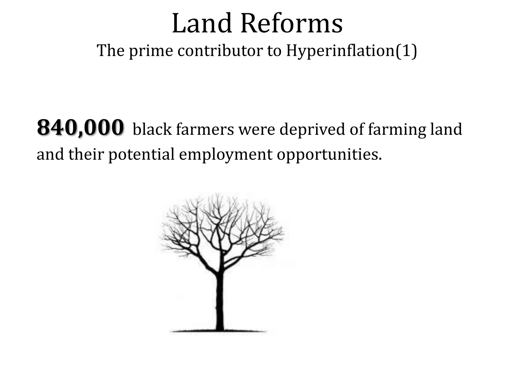 Land Reforms
The prime contributor to Hyperinflation(1)

840,000

black farmers were deprived of farming land
and their potential employment opportunities.

 