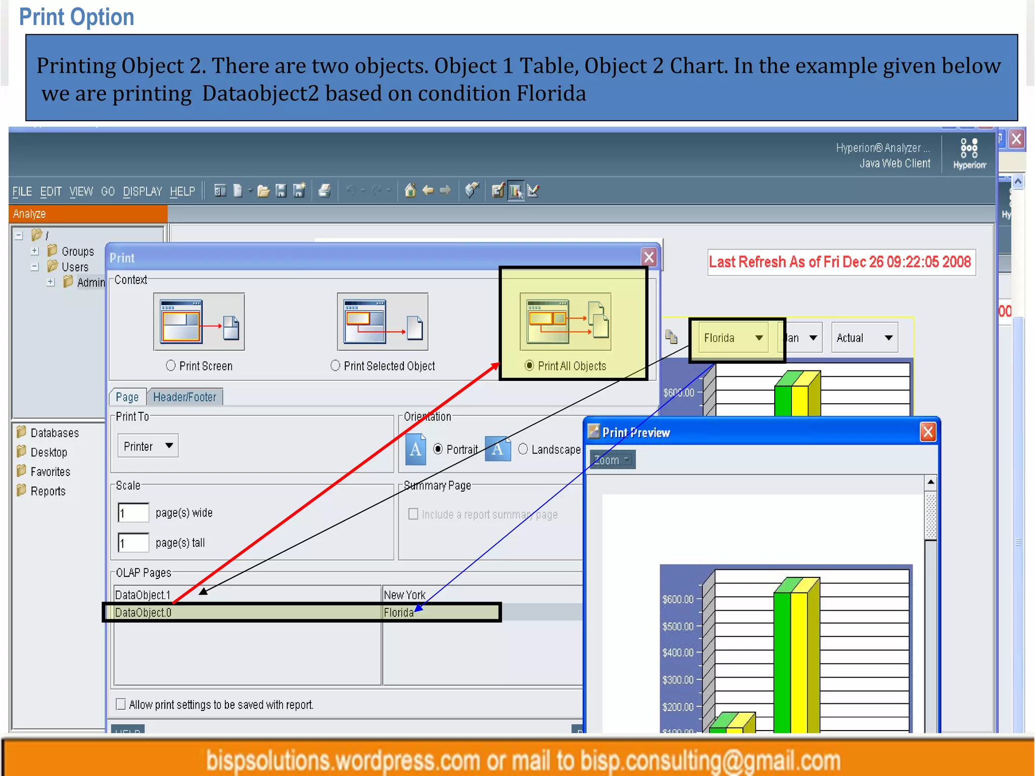 Print Option Printing Object 2. There are two objects. Object 1 Table, Object 2 Chart. In the example given below we are printing  Dataobject2 based on condition Florida 