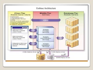 Essbase Architecture
 