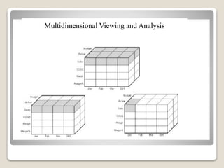 Multidimensional Viewing and Analysis
 