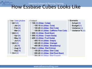 Hyperion Essbase & Planning Training
www.adivaconsulting.com
How Essbase Cubes Looks Like
32
 