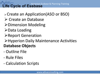 Hyperion Essbase & Planning Training
www.adivaconsulting.com
Life Cycle of Essbase
Database Objects
- Outline File
- Rule Files
- Calculation Scripts
40
 Create an Application(ASO or BSO)
 Create an Database
Dimension Modeling
Data Loading
Report Generation
Hyperion Daily Maintenance Activities
 