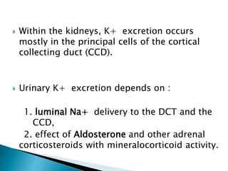 Within the kidneys, K+ excretion occurs
mostly in the principal cells of the cortical
collecting duct (CCD).
 Urinary K+ excretion depends on :
1. luminal Na+ delivery to the DCT and the
CCD,
2. effect of Aldosterone and other adrenal
corticosteroids with mineralocorticoid activity.
 