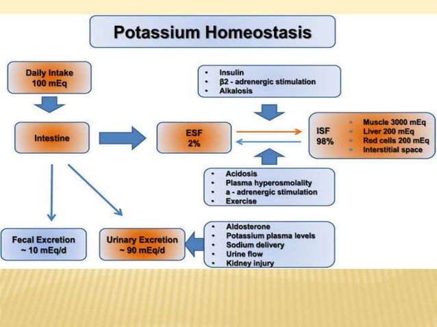 Diagnosis and management of Hyperkalemia | PPTX