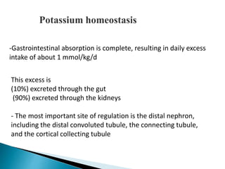 Potassium homeostasis 
-Gastrointestinal absorption is complete, resulting in daily excess 
intake of about 1 mmol/kg/d 
This excess is 
(10%) excreted through the gut 
(90%) excreted through the kidneys 
- The most important site of regulation is the distal nephron, 
including the distal convoluted tubule, the connecting tubule, 
and the cortical collecting tubule 
 