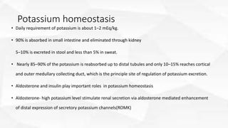 Potassium homeostasis
• Daily requirement of potassium is about 1–2 mEq/kg.
• 90% is absorbed in small intestine and eliminated through kidney
5–10% is excreted in stool and less than 5% in sweat.
• Nearly 85–90% of the potassium is reabsorbed up to distal tubules and only 10–15% reaches cortical
and outer medullary collecting duct, which is the principle site of regulation of potassium excretion.
• Aldosterone and insulin play important roles in potassium homeostasis
• Aldosterone- high potassium level stimulate renal secretion via aldosterone mediated enhancement
of distal expression of secretory potassium channels(ROMK)
 