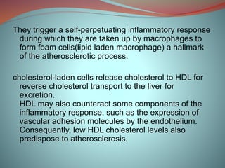 They trigger a self-perpetuating inflammatory response
during which they are taken up by macrophages to
form foam cells(lipid laden macrophage) a hallmark
of the atherosclerotic process.
cholesterol-laden cells release cholesterol to HDL for
reverse cholesterol transport to the liver for
excretion.
HDL may also counteract some components of the
inflammatory response, such as the expression of
vascular adhesion molecules by the endothelium.
Consequently, low HDL cholesterol levels also
predispose to atherosclerosis.
 