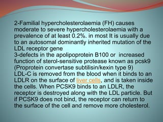 2-Familial hypercholesterolaemia (FH) causes
moderate to severe hypercholesterolaemia with a
prevalence of at least 0.2%. in most It is usually due
to an autosomal dominantly inherited mutation of the
LDL receptor gene
3-defects in the apolipoprotein B100 or increased
function of sterol-sensitive protease known as pcsk9
(Proprotein convertase subtilisin/kexin type 9)
LDL-C is removed from the blood when it binds to an
LDLR on the surface of liver cells, and is taken inside
the cells. When PCSK9 binds to an LDLR, the
receptor is destroyed along with the LDL particle. But
if PCSK9 does not bind, the receptor can return to
the surface of the cell and remove more cholesterol.
 