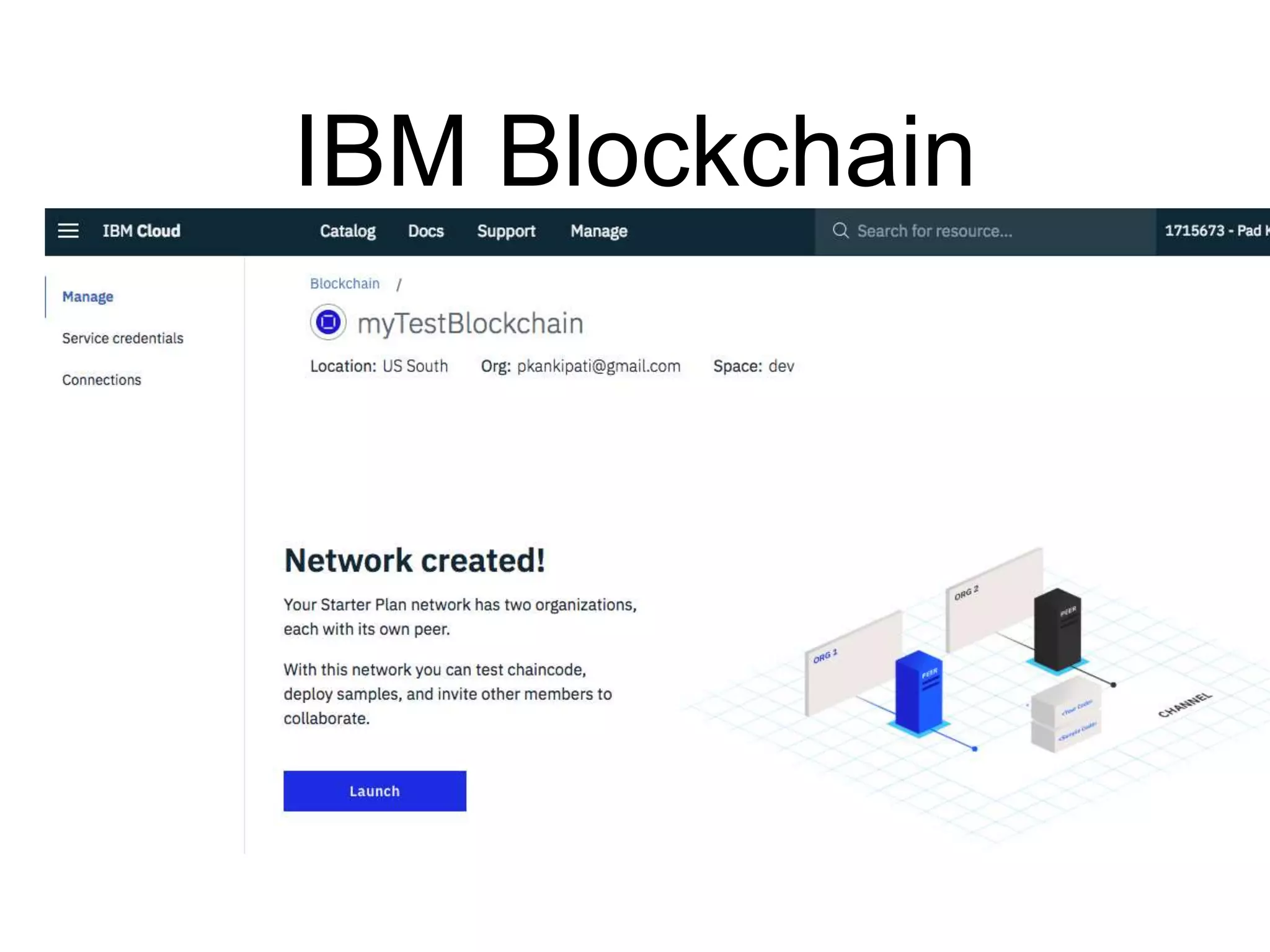 IBM Blockchain
 