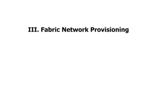 III. Fabric Network Provisioning
 