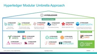 ISEM4035 8© 2019 Daniel K.C. Chan. All rights reserved.
Hyperledger Modular Umbrella Approach
Hyperledger Overview
 