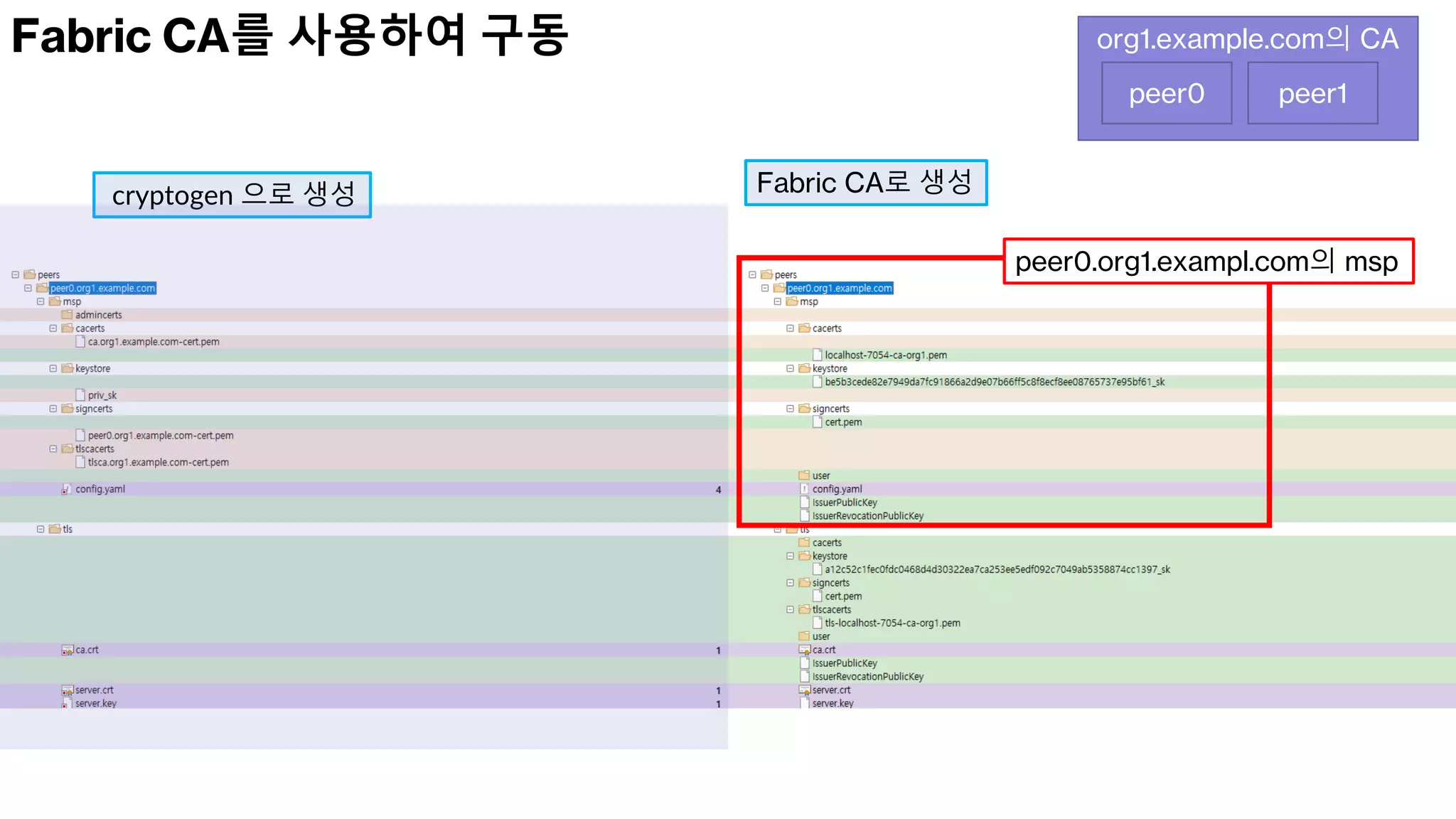 HyperLedger Fabric V2.5.pdf