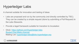 Hyperledger Labs
A channel suitable for innovation and testing of ideas
• Labs are proposed and run by the community (not directly controlled by TSC).
They can be created by a simple request (done by submitting a Pull Request) to
the Labs Stewards.
• Provide a legal framework suitable for transition to Incubation
• Gitub: https://github.com/hyperledger-labs
Rocket.Chat #labs channel,
Mailing List: hyperledger-labs@lists.hyperledger.org
 