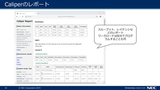 16 © NEC Corporation 2019
Caliperのレポート
スループット、レイテンシな
どのレポート
ワークロードは自分でプログ
ラムすることも可
 