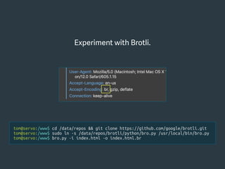 Experiment with Brotli.
tom@servo:/www$ cd /data/repos && git clone https://github.com/google/brotli.git
tom@servo:/www$ sudo ln -s /data/repos/brotli/python/bro.py /usr/local/bin/bro.py
tom@servo:/www$ bro.py -i index.html -o index.html.br
 