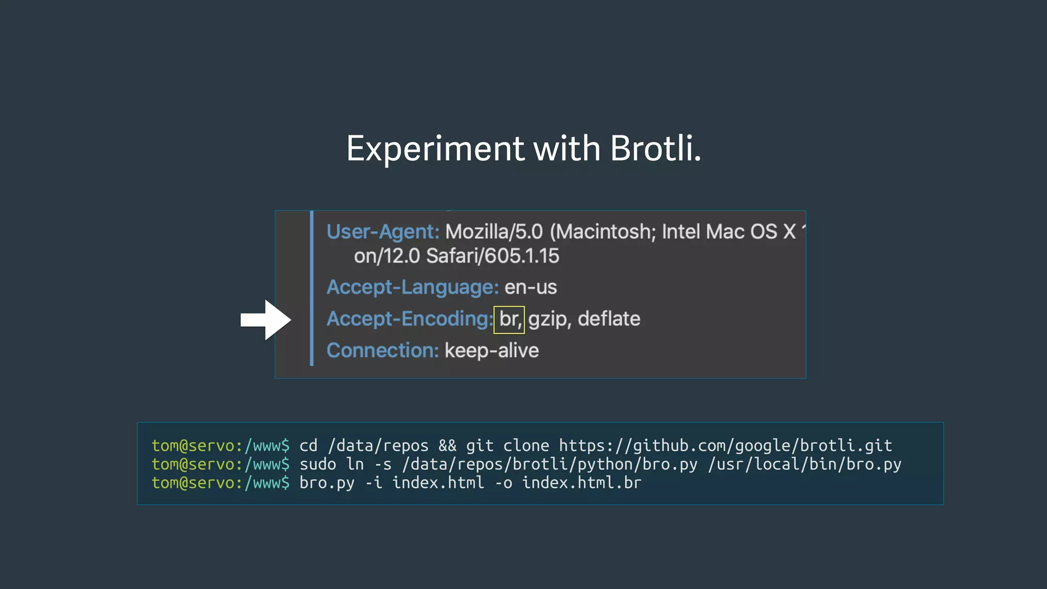 tom@servo:/www$ cd /data/repos && git clone https://github.com/google/brotli.git
tom@servo:/www$ sudo ln -s /data/repos/brotli/python/bro.py /usr/local/bin/bro.py
tom@servo:/www$ bro.py -i index.html -o index.html.br
Experiment with Brotli.
 