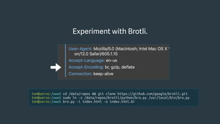 Experiment with Brotli.
tom@servo:/www$ cd /data/repos && git clone https://github.com/google/brotli.git
tom@servo:/www$ sudo ln -s /data/repos/brotli/python/bro.py /usr/local/bin/bro.py
tom@servo:/www$ bro.py -i index.html -o index.html.br
 