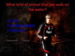 What kind of animal that can walk on
              the water?

• A. Turtle
• B. Anggang-anggang
• C. Water bug
 