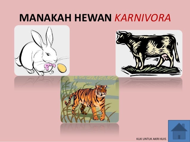 Hyperlinlk Manakah Hewan Karnivora