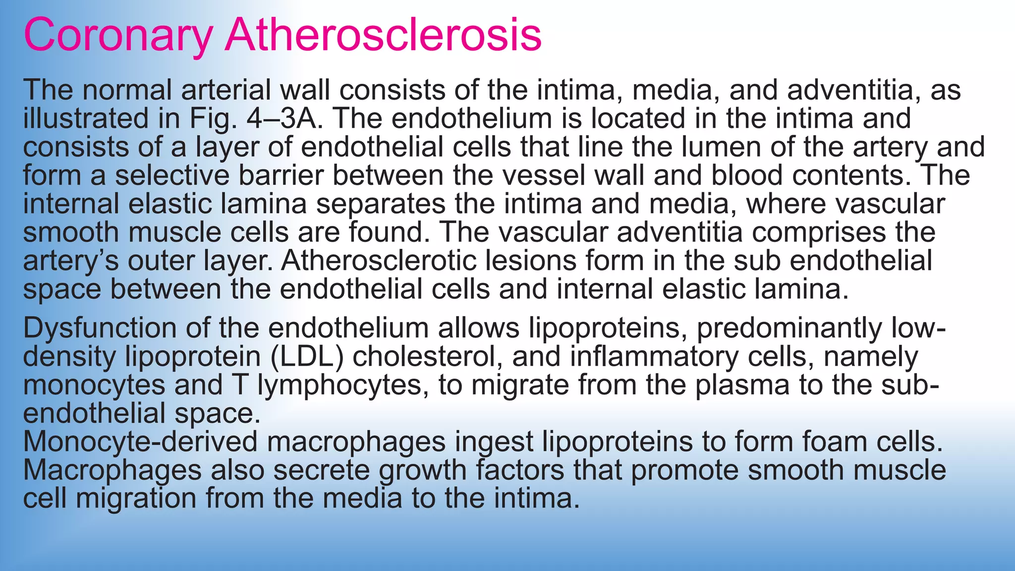 Coronary Atherosclerosis
The normal arterial wall consists of the intima, media, and adventitia, as
illustrated in Fig. 4–3A. The endothelium is located in the intima and
consists of a layer of endothelial cells that line the lumen of the artery and
form a selective barrier between the vessel wall and blood contents. The
internal elastic lamina separates the intima and media, where vascular
smooth muscle cells are found. The vascular adventitia comprises the
artery’s outer layer. Atherosclerotic lesions form in the sub endothelial
space between the endothelial cells and internal elastic lamina.
Dysfunction of the endothelium allows lipoproteins, predominantly low-
density lipoprotein (LDL) cholesterol, and inflammatory cells, namely
monocytes and T lymphocytes, to migrate from the plasma to the sub-
endothelial space.
Monocyte-derived macrophages ingest lipoproteins to form foam cells.
Macrophages also secrete growth factors that promote smooth muscle
cell migration from the media to the intima.
 