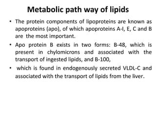 Metabolic path way of lipids
• The protein components of lipoproteins are known as
apoproteins (apo), of which apoproteins A-I, E, C and B
are the most important.
• Apo protein B exists in two forms: B-48, which is
present in chylomicrons and associated with the
transport of ingested lipids, and B-100,
• which is found in endogenously secreted VLDL-C and
associated with the transport of lipids from the liver.
 