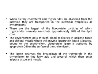 • When dietary cholesterol and triglycerides are absorbed from the
intestine they are transported in the intestinal lymphatics as
chylomicrons.
• These are the largest of the lipoprotein particles of which
triglycerides normally constitute approximately 80% of the lipid
core.
• The chylomicrons pass through blood capillaries in adipose tissue
and skeletal muscle where the enzyme lipoprotein lipase is located,
bound to the endothelium. Lipoprotein lipase is activated by
apoprotein C-II on the surface of the chylomicron.
• The lipase catalyses the breakdown of the triglyceride in the
chylomicron to free fatty acid and glycerol, which then enter
adipose tissue and muscle.
 