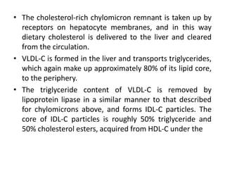 • The cholesterol-rich chylomicron remnant is taken up by
receptors on hepatocyte membranes, and in this way
dietary cholesterol is delivered to the liver and cleared
from the circulation.
• VLDL-C is formed in the liver and transports triglycerides,
which again make up approximately 80% of its lipid core,
to the periphery.
• The triglyceride content of VLDL-C is removed by
lipoprotein lipase in a similar manner to that described
for chylomicrons above, and forms IDL-C particles. The
core of IDL-C particles is roughly 50% triglyceride and
50% cholesterol esters, acquired from HDL-C under the
 