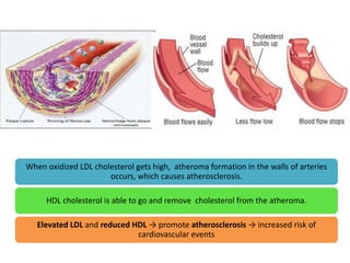 When oxidized LDL cholesterol gets high, atheroma formation in the walls of arteries
occurs, which causes atherosclerosis.
HDL cholesterol is able to go and remove cholesterol from the atheroma.
Elevated LDL and reduced HDL → promote atherosclerosis → increased risk of
cardiovascular events
 