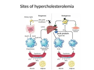 Sites of hypercholesterolemia
pcsk protein
 