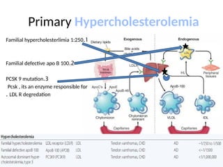Primary Hypercholesterolemia
1
.
Familial hypercholesterlimia 1:250
2
.
Familial defective apo B 100
3
.
PCSK 9 mutation
Pcsk , its an enzyme responsible for
LDL R degredation
.
 