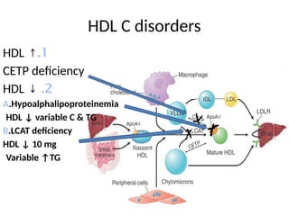 HDL C disorders
1
.
↑
HDL
CETP deficiency
2
.
↓
HDL
A.Hypoalphalipoproteinemia
HDL ↓ variable C & TG
B.LCAT deficiency
HDL ↓ 10 mg
Variable ↑TG
 