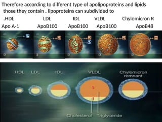 Therefore according to different type of apolipoproteins and lipids
those they contain . lipoproteins can subdivided to
HDL LDL IDL VLDL Chylomicron R
.
Apo A-1 ApoB100 ApoB100 ApoB100 ApoB48
5
1
 