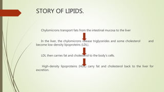 STORY OF LIPIDS.
Chylomicrons transport fats from the intestinal mucosa to the liver
In the liver, the chylomicrons release triglycerides and some cholesterol and
become low-density lipoproteins (LDL).
LDL then carries fat and cholesterol to the body’s cells.
High-density lipoproteins (HDL) carry fat and cholesterol back to the liver for
excretion.
 