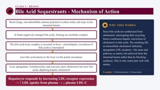 CLASS 3 · RESINS
Bile Acid Sequestrants - Mechanism of Action
Resin (large, non-absorbable cationic polymer) is taken orally and stays in the
intestinal lumen
It binds negatively-charged bile acids, forming an insoluble complex
The bile-acid-resin complex is excreted in feces - enterohepatic circulation of
bile acids is interrupted
Less bile acid returns to the liver via the portal circulation
Liver upregulates 7α-hydroxylase and converts more cholesterol into new bile
acids, depleting hepatic cholesterol
Hepatocyte responds by increasing LDL-receptor expression
→ ↑ LDL uptake from plasma → ↓ plasma LDL-C
WHY THIS WORKS
Since bile acids are synthesized from
cholesterol, interrupting their recycling
forces continuous hepatic conversion of
cholesterol to bile acids. The resulting fall
in intracellular cholesterol indirectly
upregulates LDL receptors - the same end
pathway as statins, but achieved from the
intestinal lumen rather than by blocking
synthesis. This is why resins pair well with
statins.
Example: Cholestyramine, Colesevelam
 