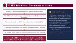 CLASS 6 · BIOLOGICS
PCSK9 Inhibitors - Mechanism of Action
Normally, PCSK9 protein binds hepatic LDL receptors on the cell surface
The PCSK9-LDL receptor complex is internalized and routed to lysosomes for
degradation
Monoclonal antibody (or siRNA) binds and neutralizes circulating PCSK9
PCSK9 can no longer bind the LDL receptor - receptor degradation is prevented
LDL receptors recycle back to the hepatocyte surface instead of being destroyed
More surface LDL receptors are available → markedly
increased hepatic LDL-C clearance (up to ~60% reduction)
WHY THIS WORKS
PCSK9 acts as a natural molecular “brake”
on LDL-receptor recycling. Removing that
brake maximizes the number of functional
receptors on the hepatocyte surface,
producing the largest LDL-C reduction of
any available class - which is why these
agents are reserved for familial
hypercholesterolemia and statin-refractory
very-high-risk patients.
Example: Evolocumab, Alirocumab
 