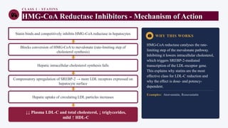 CLASS 1 · STATINS
HMG-CoA Reductase Inhibitors - Mechanism of Action
Statin binds and competitively inhibits HMG-CoA reductase in hepatocytes
Blocks conversion of HMG-CoA to mevalonate (rate-limiting step of
cholesterol synthesis)
Hepatic intracellular cholesterol synthesis falls
Compensatory upregulation of SREBP-2 → more LDL receptors expressed on
hepatocyte surface
Hepatic uptake of circulating LDL particles increases
↓↓ Plasma LDL-C and total cholesterol, ↓ triglycerides,
mild ↑ HDL-C
WHY THIS WORKS
HMG-CoA reductase catalyses the rate-
limiting step of the mevalonate pathway.
Inhibiting it lowers intracellular cholesterol,
which triggers SREBP-2-mediated
transcription of the LDL-receptor gene.
This explains why statins are the most
effective class for LDL-C reduction and
why the effect is dose- and potency-
dependent.
Examples: Atorvastatin, Rosuvastatin
 