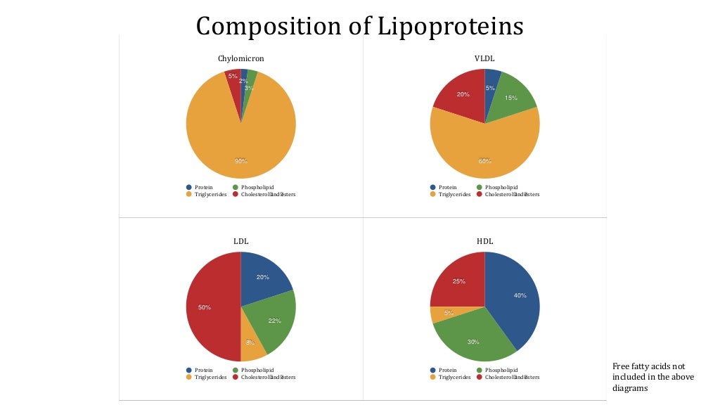 Hyperlipidemia etiology epidemiology clinical features