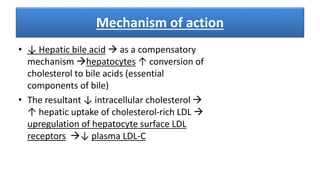 Mechanism of action
• ↓ Hepatic bile acid  as a compensatory
mechanism hepatocytes ↑ conversion of
cholesterol to bile acids (essential
components of bile)
• The resultant ↓ intracellular cholesterol 
↑ hepatic uptake of cholesterol-rich LDL 
upregulation of hepatocyte surface LDL
receptors ↓ plasma LDL-C
 