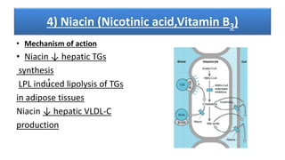 4) Niacin (Nicotinic acid,Vitamin B3)
• Mechanism of action
• Niacin ↓ hepatic TGs
synthesis
LPL induced lipolysis of TGs
in adipose tissues
Niacin ↓ hepatic VLDL-C
production
 
