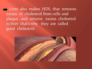 Liver also makes HDL that removes
excess of cholestrol from cells and
plaque , and returns excess cholestrol
to liver that’s why they are called
good cholestrol.
 