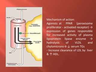 Mechanism of action:
Agonists at PPAR (peroxisome
proliferator - activated receptor) →
expression of genes responsible
for increased activity of plasma
lipoprotein lipase enzyme →
hydrolysis of VLDL and
chylomicrons→ ↓ serum TGs
- Increase clearance of LDL by liver
& ↑ HDL.
 
