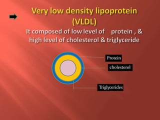 Protein
cholesterol
Triglycerides
 