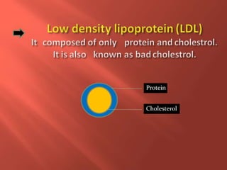Protein
Cholesterol
 