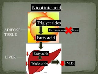 Nicotinic acid
Triglycerides
Fatty acid
Harmone sensative lipase
Fatty acids
Triglyceride VLDL
ADIPOSE
TISSUE
LIVER
 