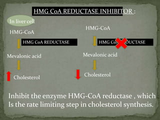 HMG CoA REDUCTASE INHIBITOR :
HMG-CoA
Mevalonic acid
Cholesterol
HMG-CoA
Mevalonic acid
Cholesterol
HMG CoA REDUCTASE
Inhi...