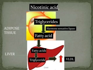 Nicotinic acid
Triglycerides
Fatty acid
Harmone sensative lipase
Fatty acids
Triglyceride VLDL
ADIPOSE
TISSUE
LIVER
 