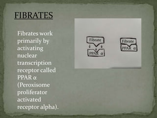 PPAR α
PPAR α
Fibrate Fibrate
FIBRATES
Fibrates work
primarily by
activating
nuclear
transcription
receptor called
PPAR α
...