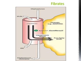 Fibrates
 