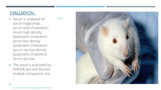 EVALUATION :
 Serum is analysed for
serum triglyceride ,
serum total cholesterol ,
serum high density
lipoprotein cholesterol ,
serum low density
lipoprotein cholesterol ,
serum vey low density
lipoprotein cholesterol ,
serum glucose .
 The result is evaluated by
ANOVA test and Dunnet
multiple comparison test
.

https://commons.wikimedia.org/wiki/File:Wista
r_rat.jpg
 